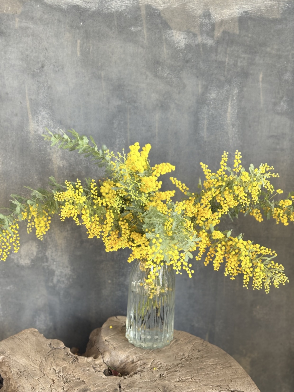 バサッとブーケ　【ミモザ】