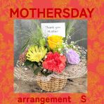 母の日 アレンジメント Sサイズ