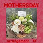 母の日 アレンジメント Mサイズ
